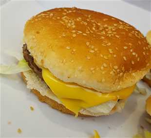Cheaseburger